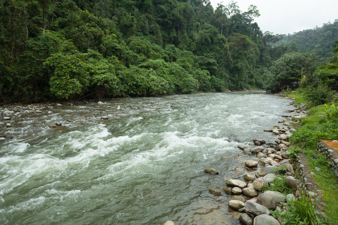 Indra Valley Inn Bukit Lawang Ngoại thất bức ảnh