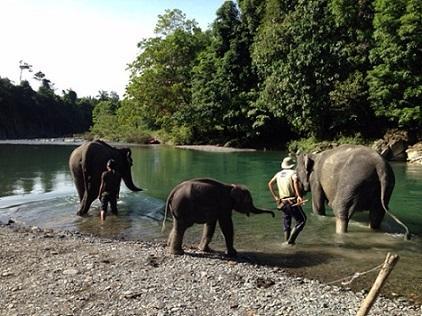 Indra Valley Inn Bukit Lawang Ngoại thất bức ảnh