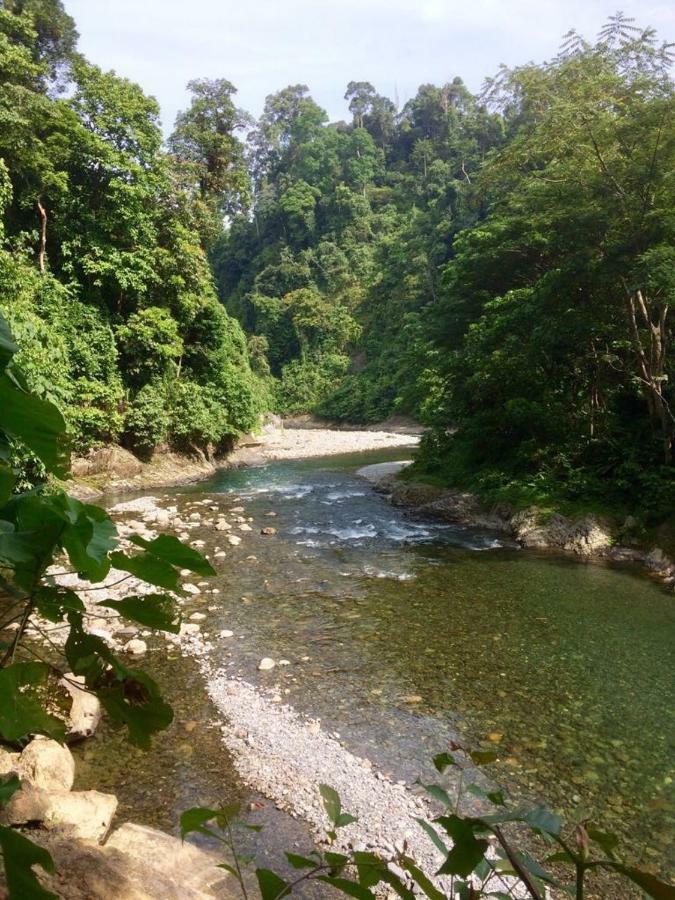 Indra Valley Inn Bukit Lawang Ngoại thất bức ảnh